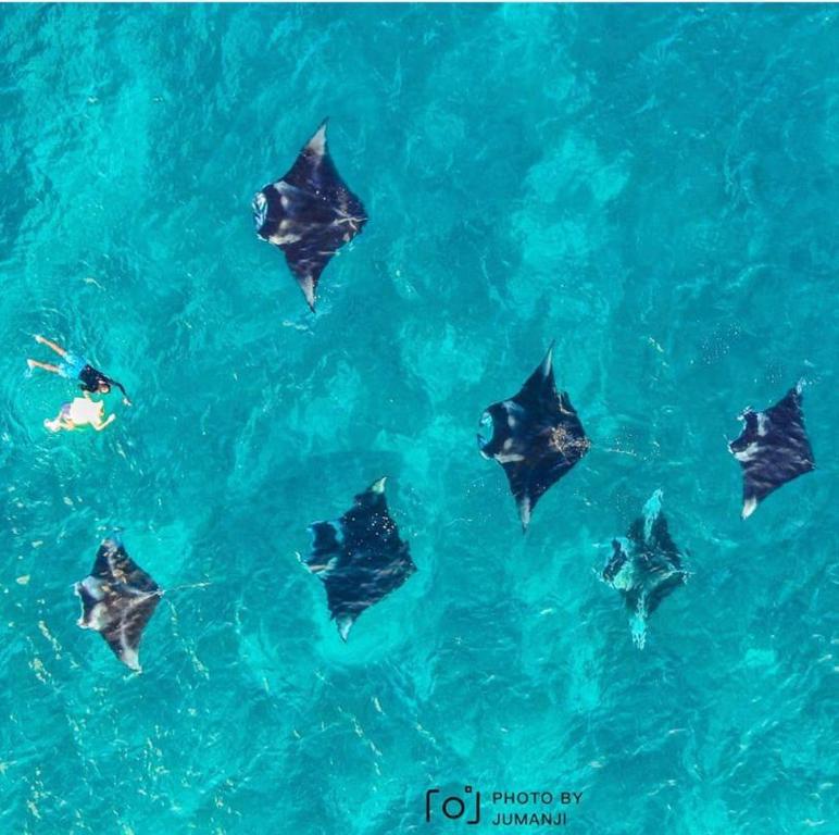 Sports and activities