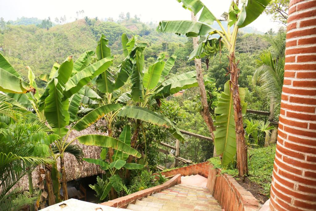 Jardín