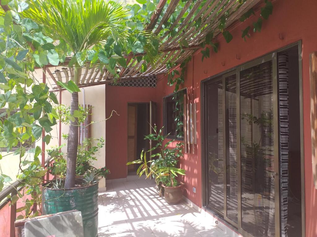 The Apartment, Cotonou