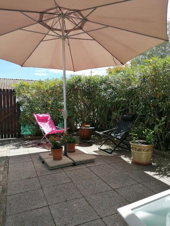 Le jardin de Constance - 4