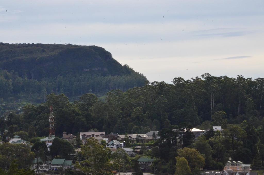 Surrounding environment