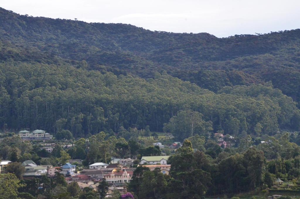 Surrounding environment