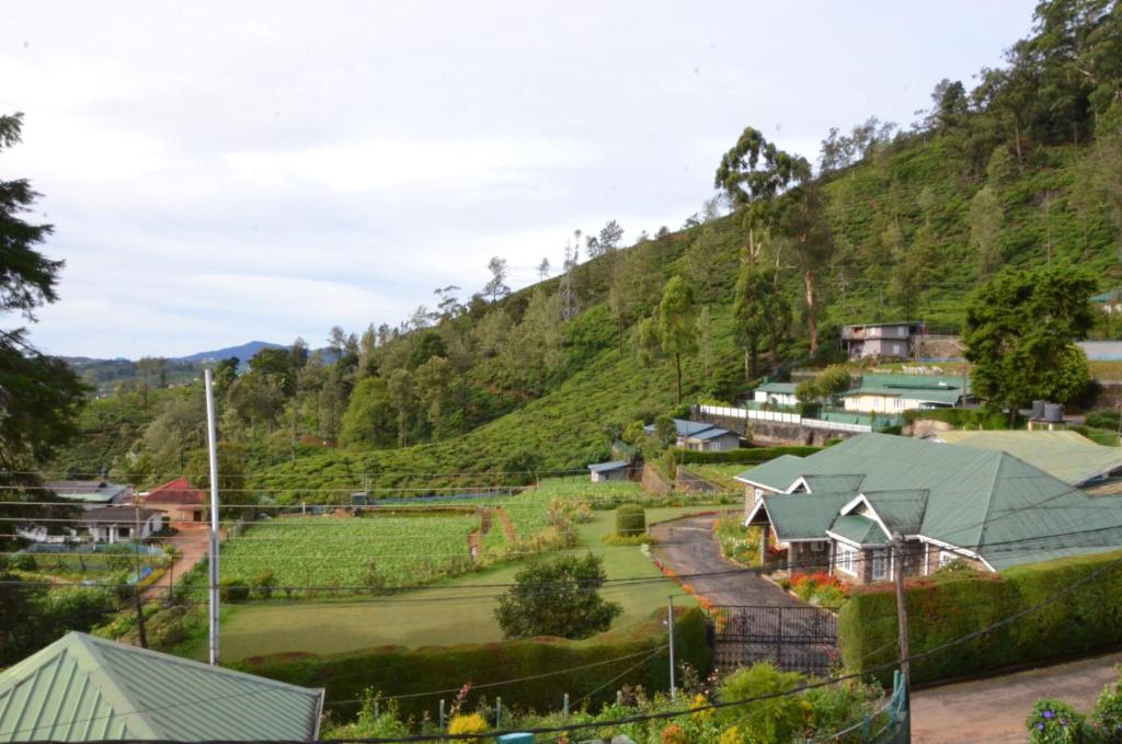 Surrounding environment