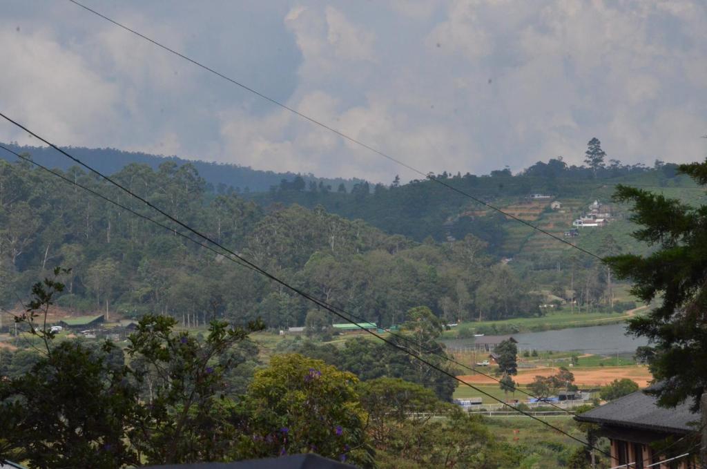 Surrounding environment