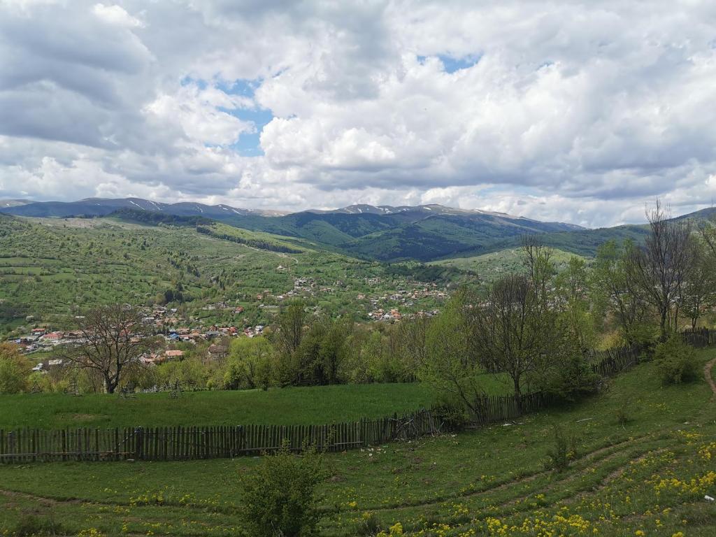 Doftana Apartaments photo