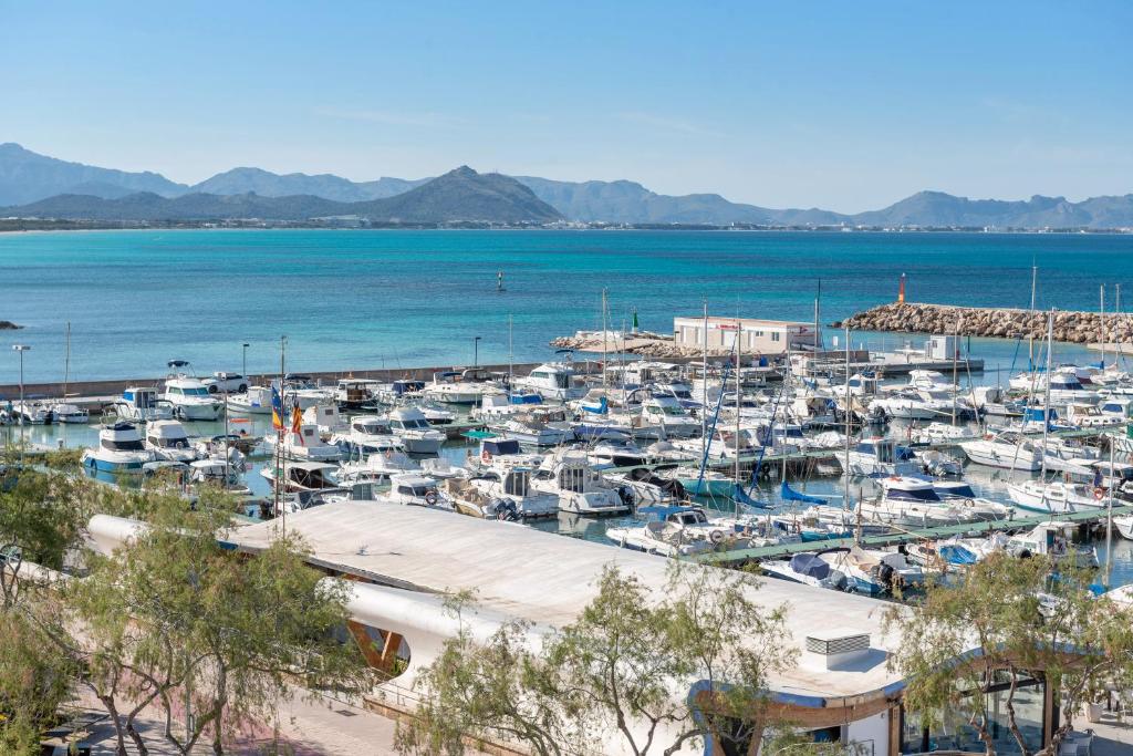Llaut Boutique Hotel — Attractions in the area in Can Picafort, Balearic Islands