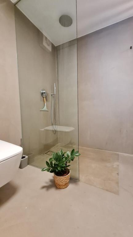 Casa nostra Capodistria photo