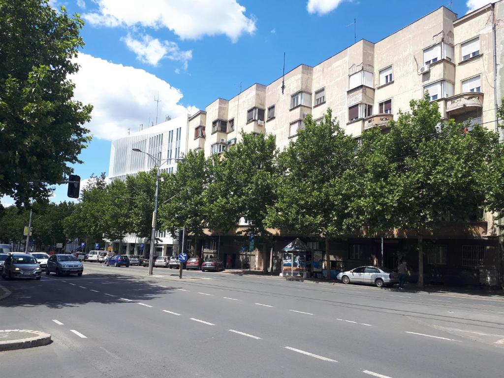 cozy hikers flat - 4