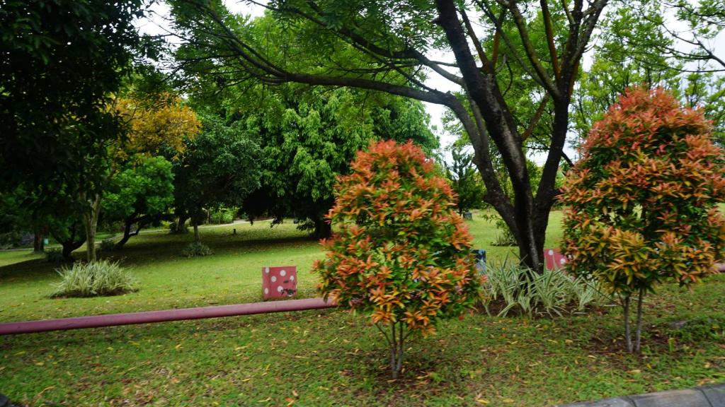 ทัศนียภาพภายนอกโรงแรม