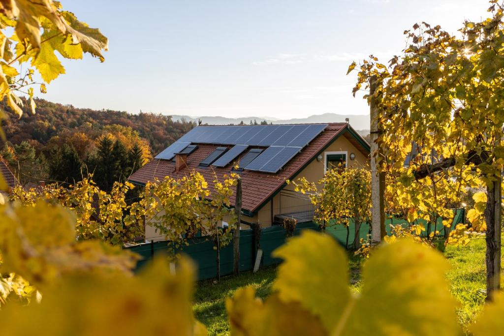 Weinberghaus am Burgstallkogel - 1