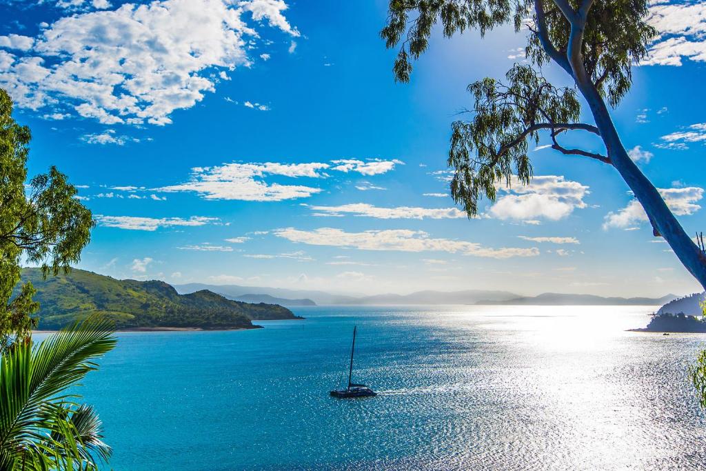 Sea View Shorelines Hamilton Island photo