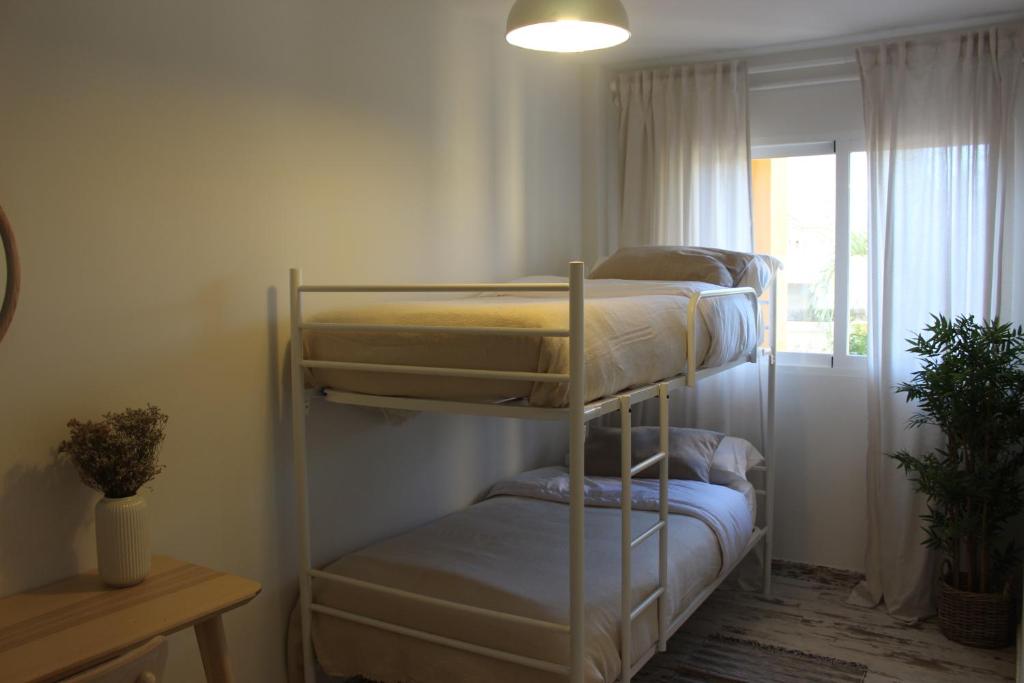 APARTAMENTO EN "BELBEDERE IN" DENIA a 10 METROS DE LA PLAYA - 5