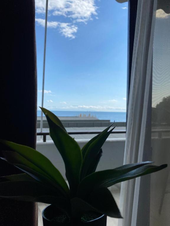Alexander Apartments — Hotel in Alexandroupolis
