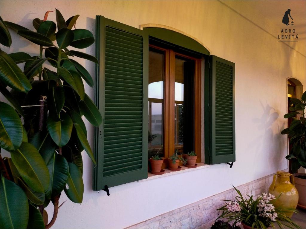 Agro Levità - 5