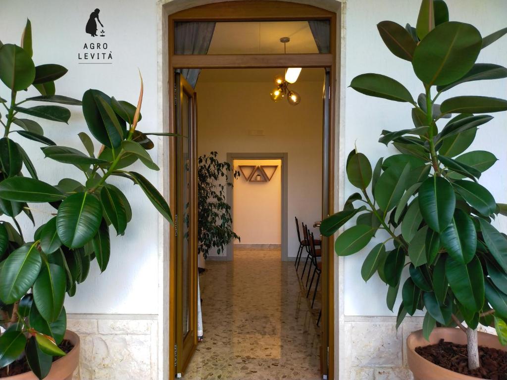 Agro Levità - 4