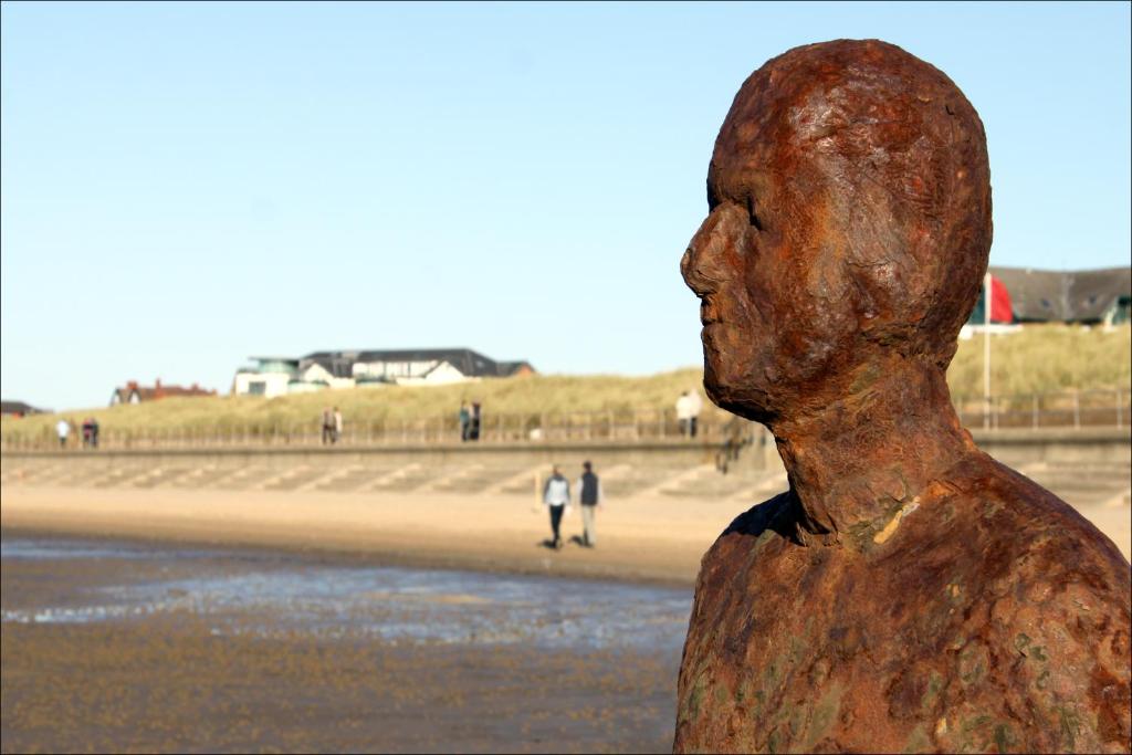 アクティビティ