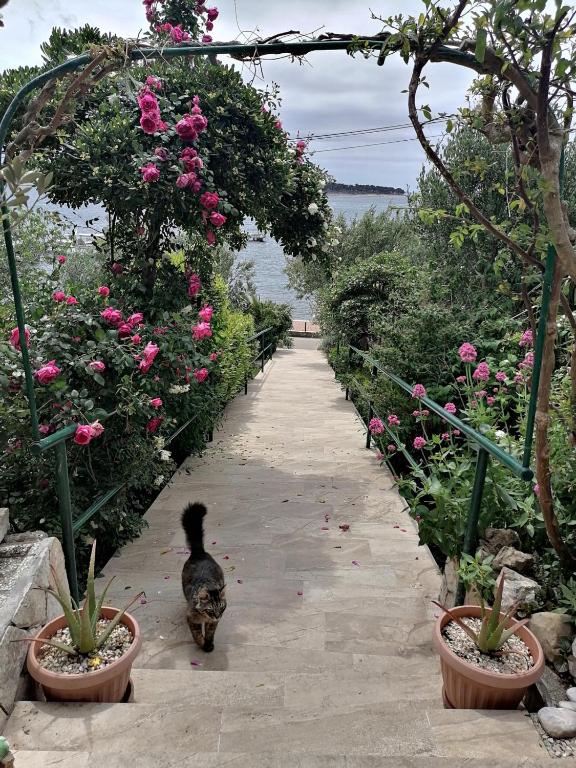 Paradise house 50m from sea — Hotel in Rab