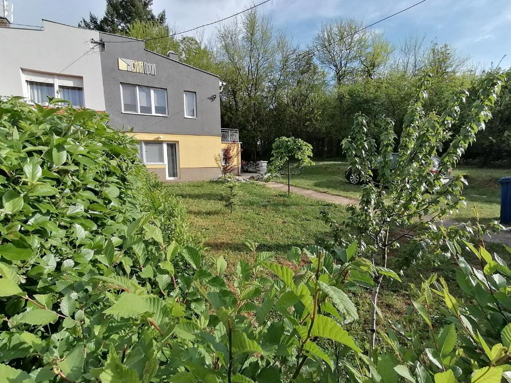 Vila Pola Sokobanja - 2