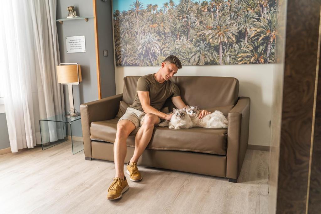 Hotel Boutique Villa Venecia — Hotel rooms in Benidorm, Valencian Community