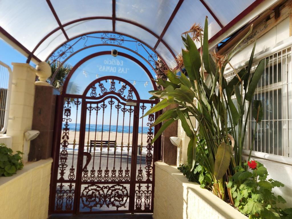 BENIDORM, Las Damas, primera línea de playa de Levante - 3
