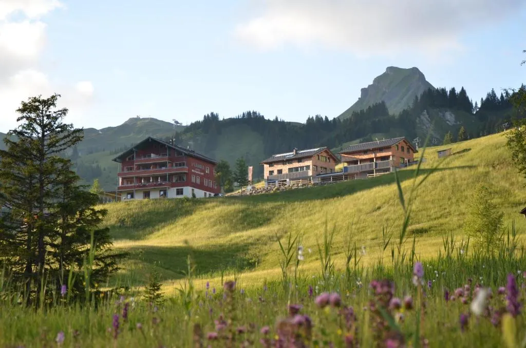 Ländle Hotel, hotel in Damuls