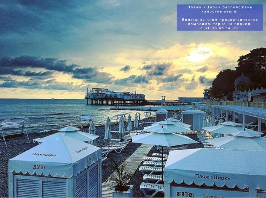 Dolphin Resort Hotel & Conference photo