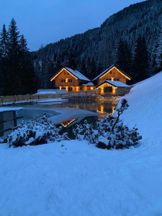 Bergseegut Chalet und Apartment - 3