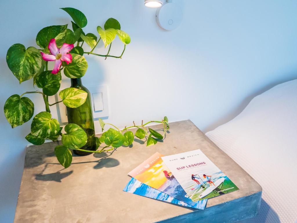 Nereidas Lofts photo