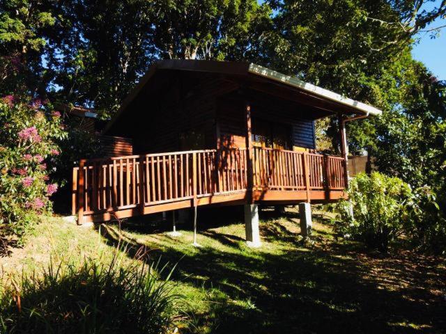 Cabanas San Gerardo photo