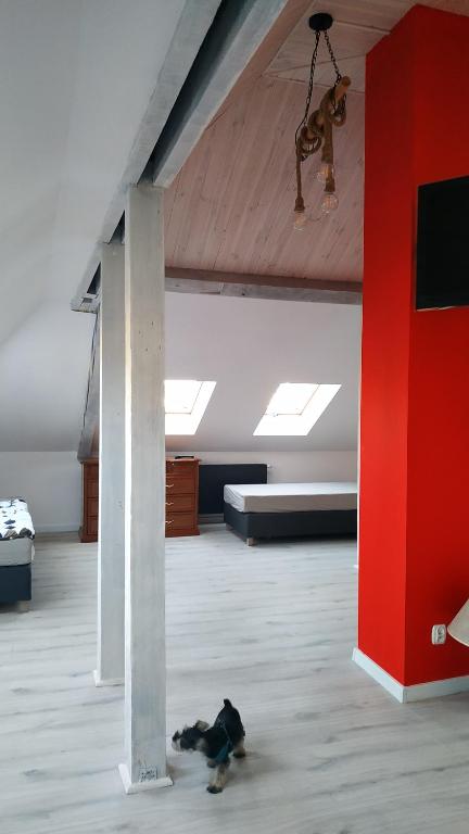 Apartament Witkacego Czerwony, Słupsk