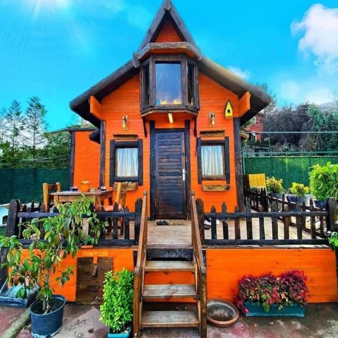 the hobbit house 1 in sapanca turkey reviews prices planet of hotels