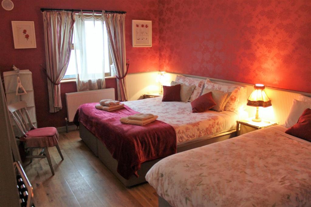 Clifden Bay Lodge photo