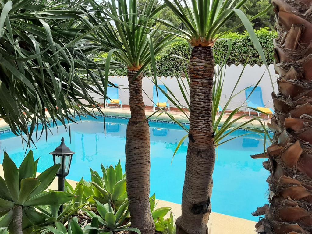 Villa Limon - Tropical Oasis with Private Pool - 2