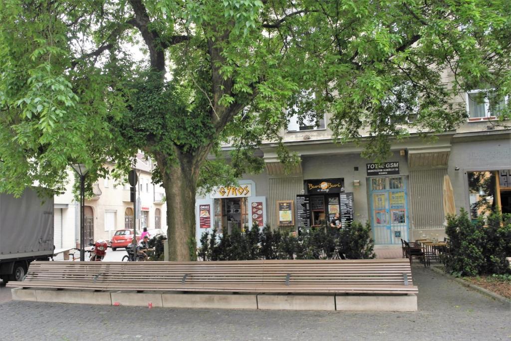 Surrounding environment, Halkoz Apartment in Debrecen