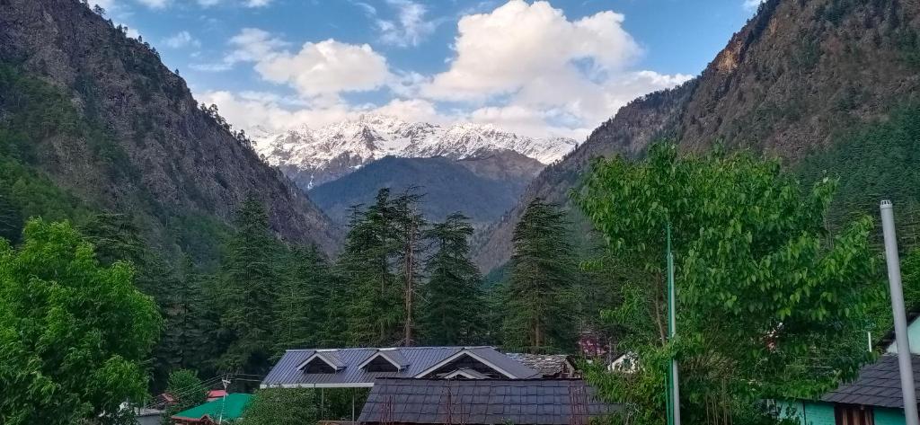 Shiva Place