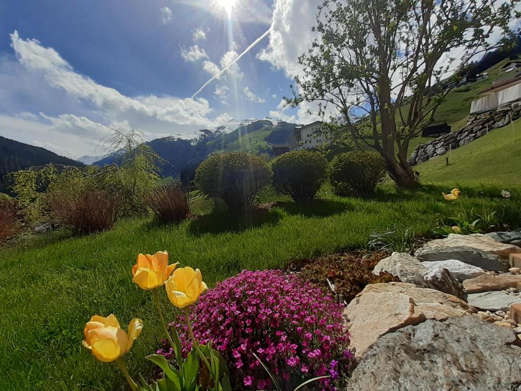 Haus Ausblick - 3