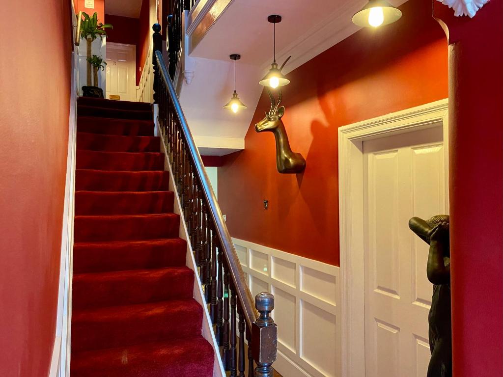 Blenheim Guest House photo