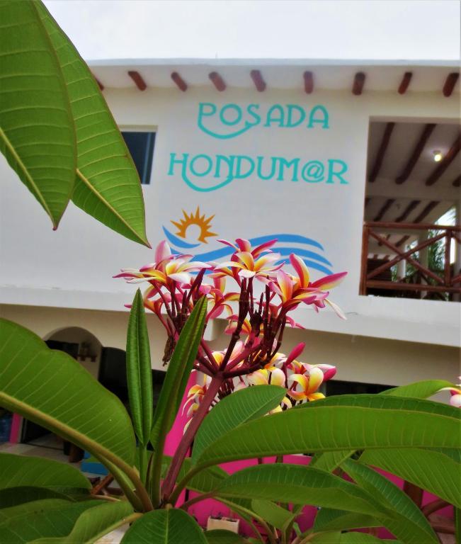Posada Hondumar Holbox — Hotel in Holbox Island