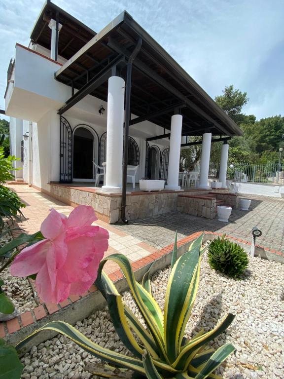 Villa Bianca - 3
