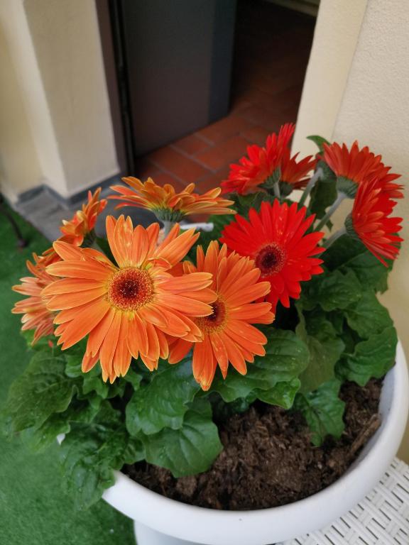 La Locanda Di Giada - 2