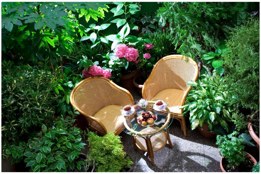 المنظر الخارجي