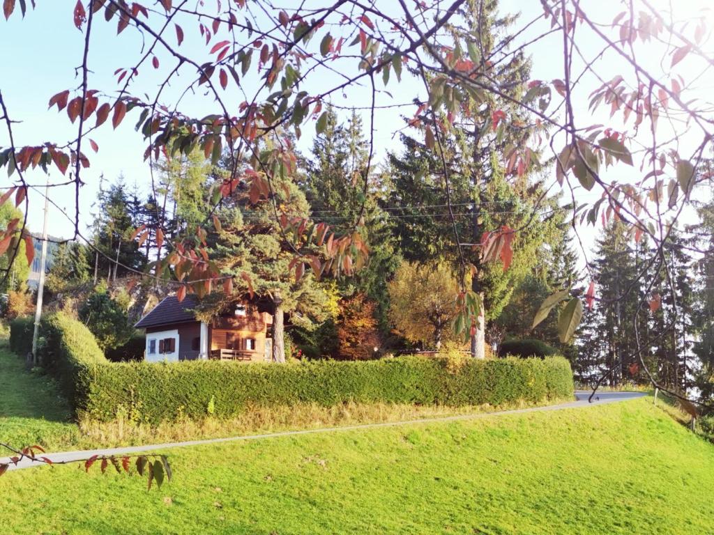 Waldheimat - 2