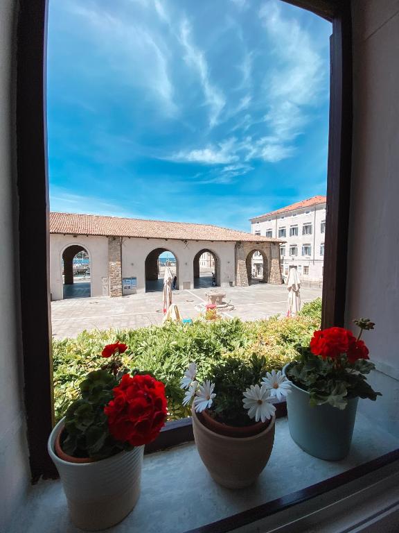 Apartma Mandala, Koper