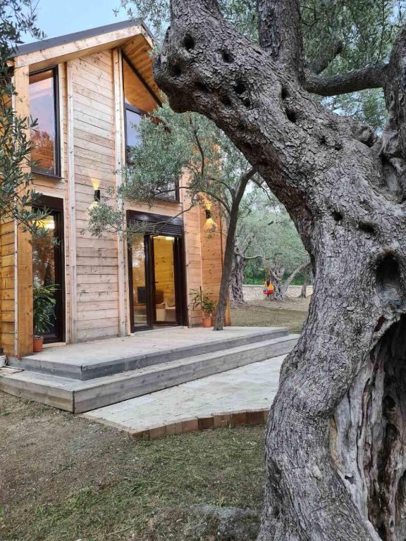OLEA COTTAGE - 3