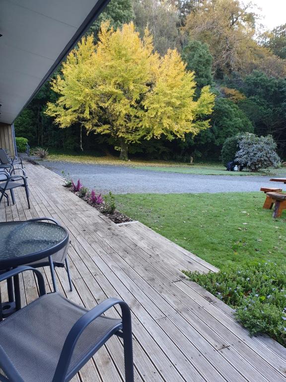 Havelock Garden Motel photo