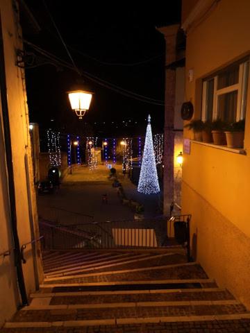 Hotel Centrale photo