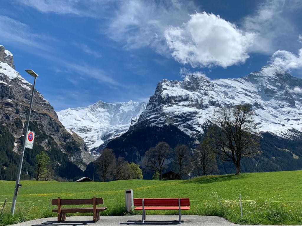 Luxury, new - amazing views Grindelwald Eiger Jungfrau Mönch - 2