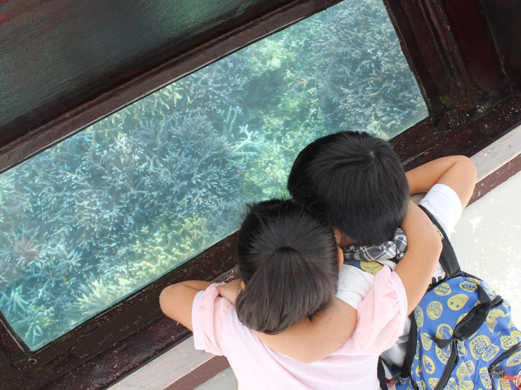 Surrounding environment