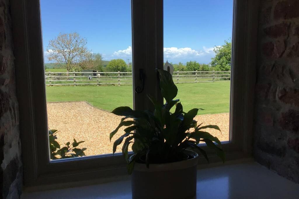 Barton Cottage, Holford photo 8