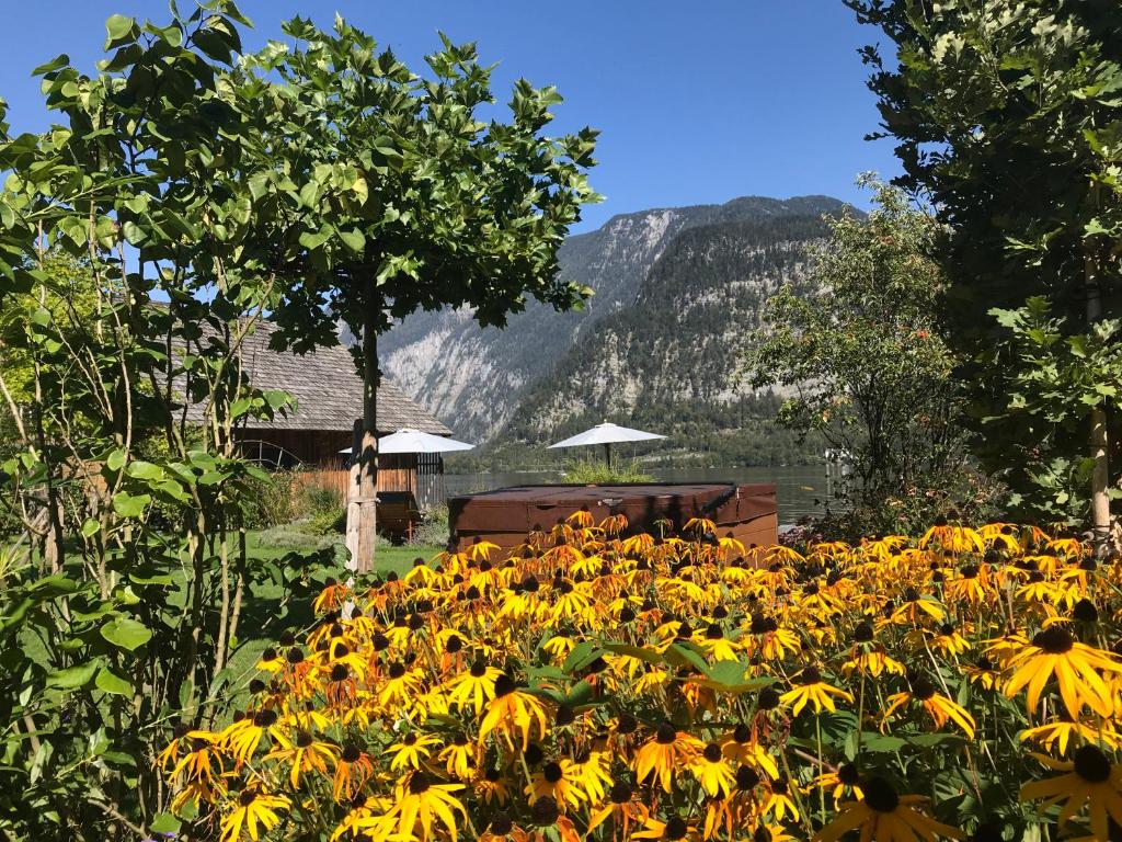 Gluck am See - Apartment mit Seezugang photo
